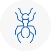 Ant Removals In Milford Haven