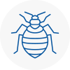 Bed Bug Extermination In Milford Haven
