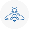 Bee Nest Removal Milford Haven