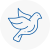 Bird Prevention Milford Haven