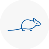 Mice Exterminators In Milford Haven
