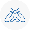 Moth Control Specialists In Milford Haven