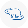 Rat Control Milford Haven