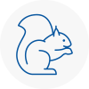 Milford Haven Rodent Removals