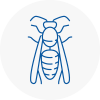 Milford Haven Wasp Nest Removal